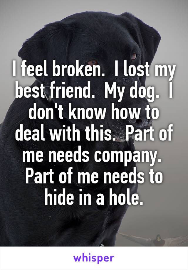 I feel broken.  I lost my best friend.  My dog.  I don't know how to deal with this.  Part of me needs company.  Part of me needs to hide in a hole.