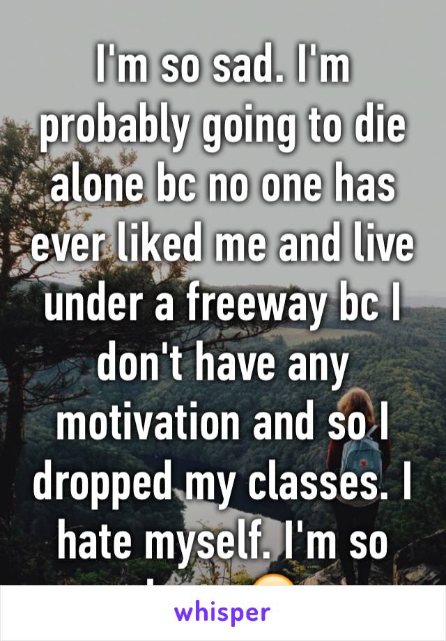 I'm so sad. I'm probably going to die alone bc no one has ever liked me and live under a freeway bc I don't have any motivation and so I dropped my classes. I hate myself. I'm so lost...😣 