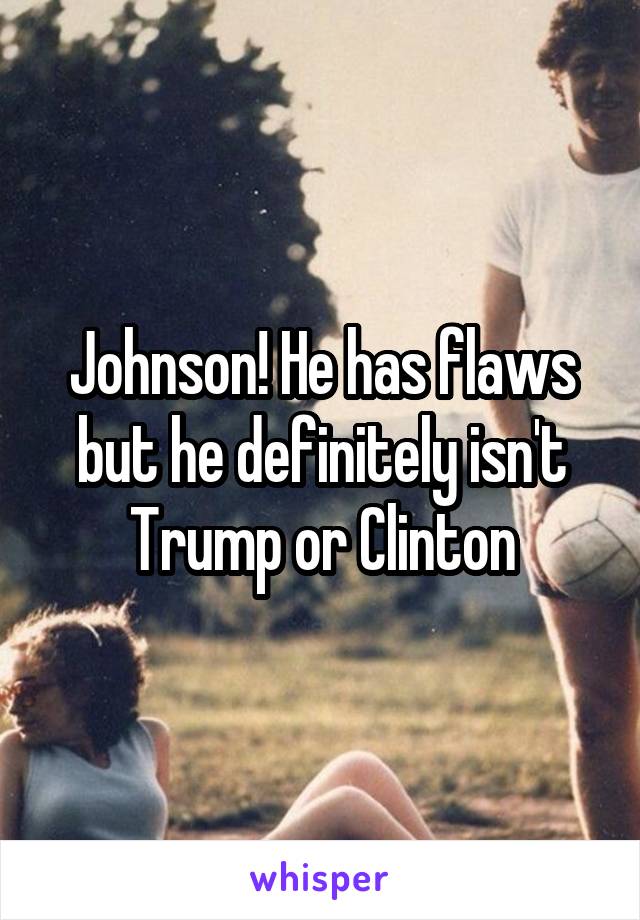 Johnson! He has flaws but he definitely isn't Trump or Clinton