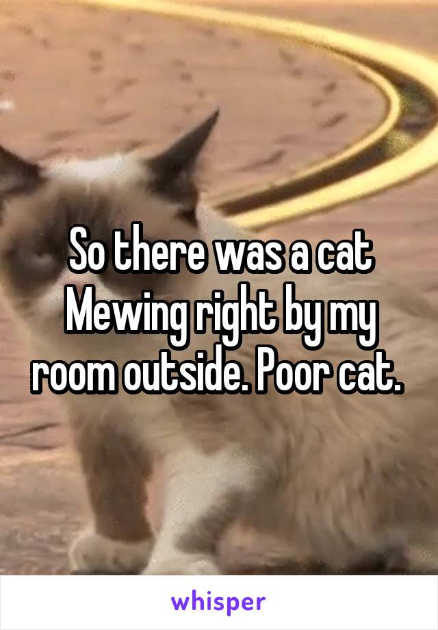 So there was a cat Mewing right by my room outside. Poor cat. 