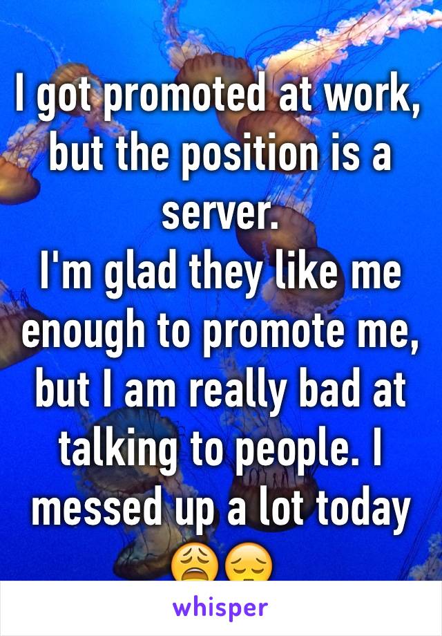 I got promoted at work, but the position is a server.
I'm glad they like me enough to promote me, but I am really bad at talking to people. I messed up a lot today
😩😔