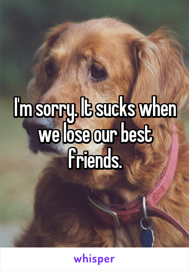 I'm sorry. It sucks when we lose our best friends.