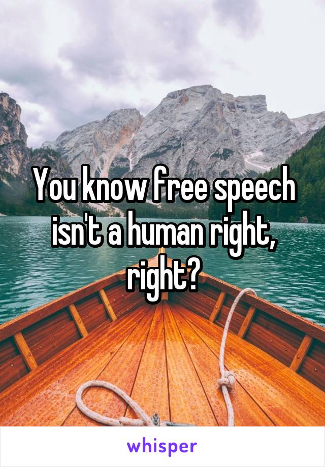 You know free speech isn't a human right, right?