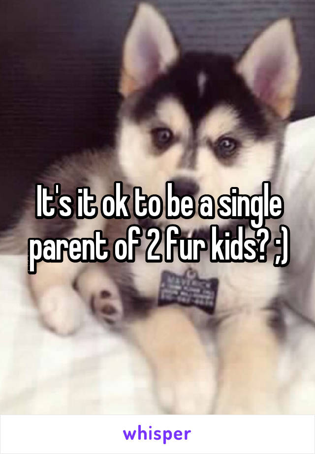 It's it ok to be a single parent of 2 fur kids? ;)