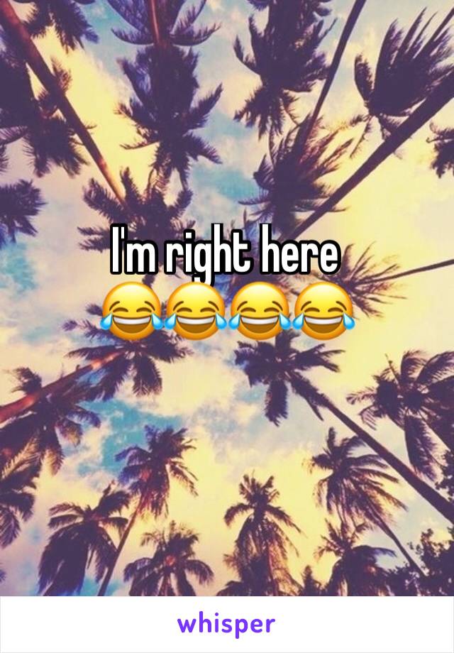 I'm right here
😂😂😂😂