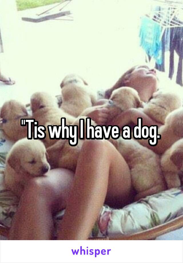 ''Tis why I have a dog. 