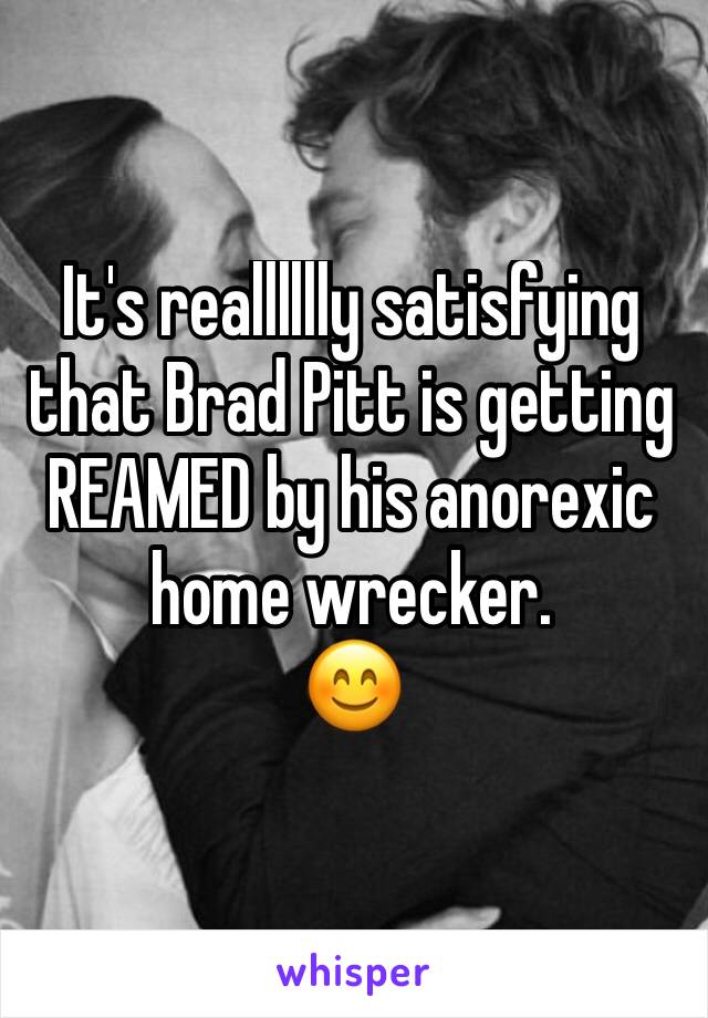 It's realllllly satisfying that Brad Pitt is getting REAMED by his anorexic home wrecker.  
😊