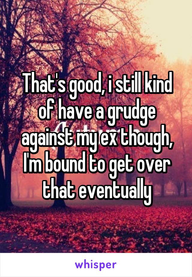 That's good, i still kind of have a grudge against my ex though, I'm bound to get over that eventually