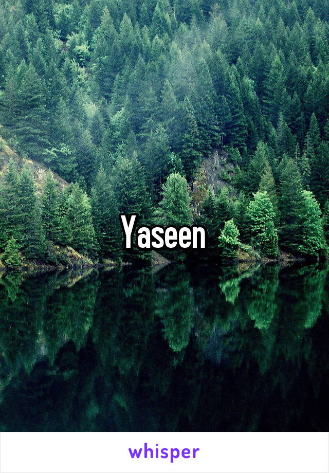 Yaseen 