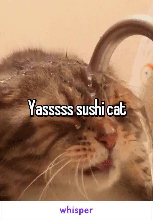 Yasssss sushi cat