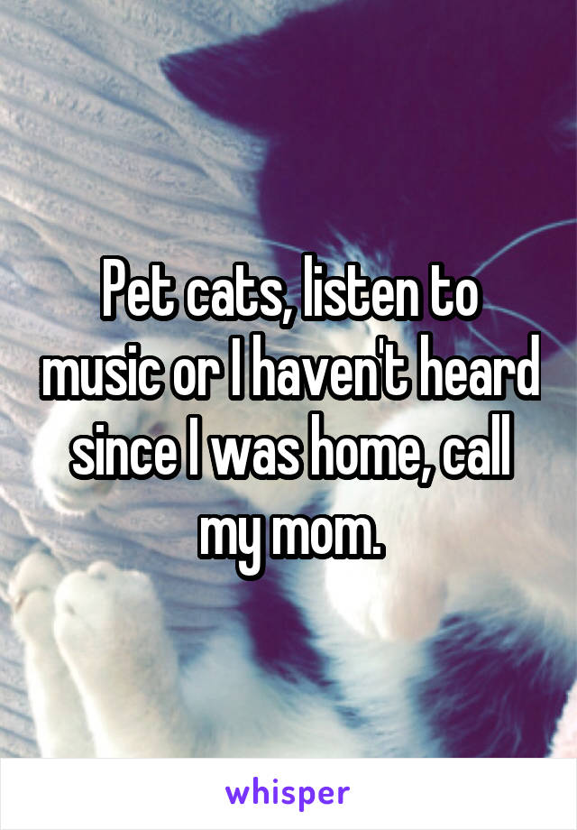 Pet cats, listen to music or I haven't heard since I was home, call my mom.