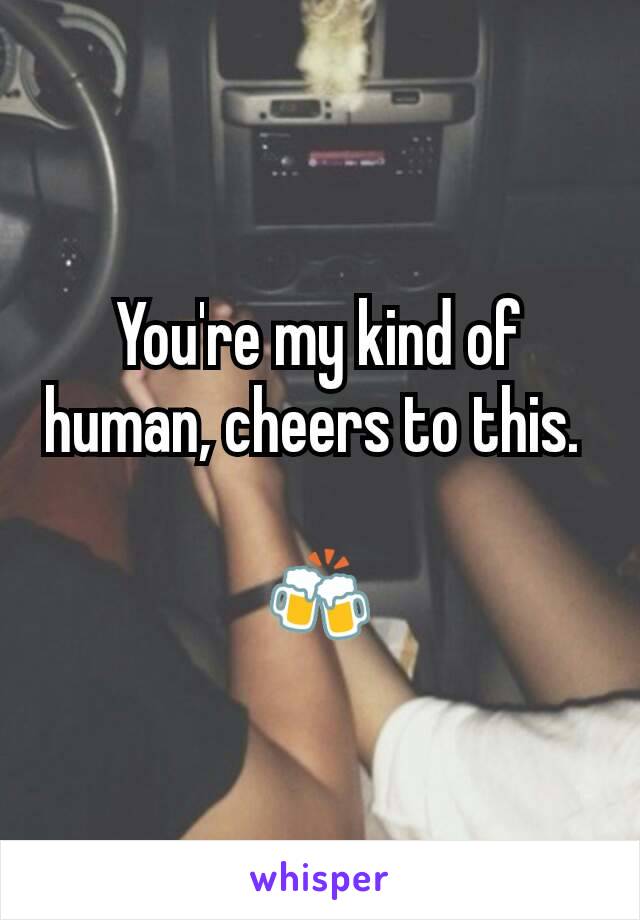 You're my kind of human, cheers to this. 

🍻