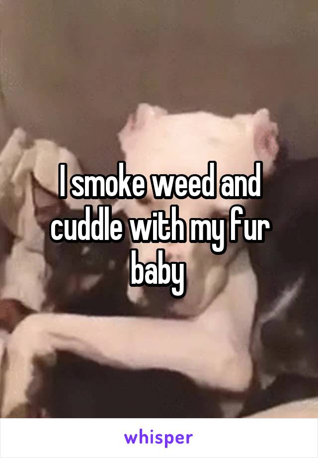 I smoke weed and cuddle with my fur baby 