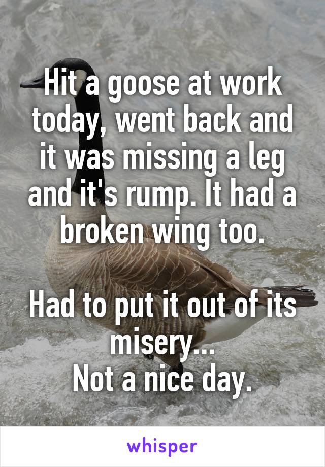 Hit a goose at work today, went back and it was missing a leg and it's rump. It had a broken wing too.

Had to put it out of its misery...
Not a nice day.