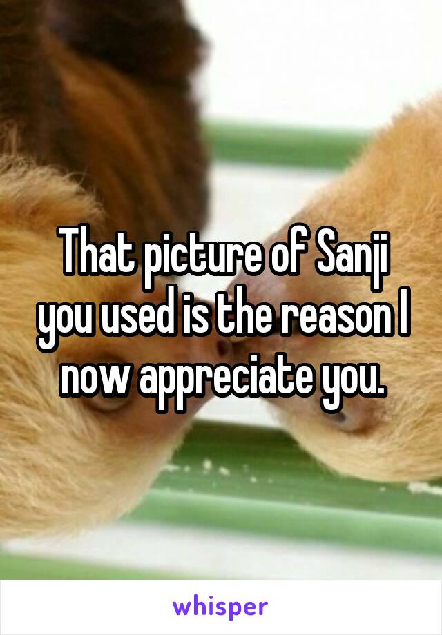 That picture of Sanji you used is the reason I now appreciate you.