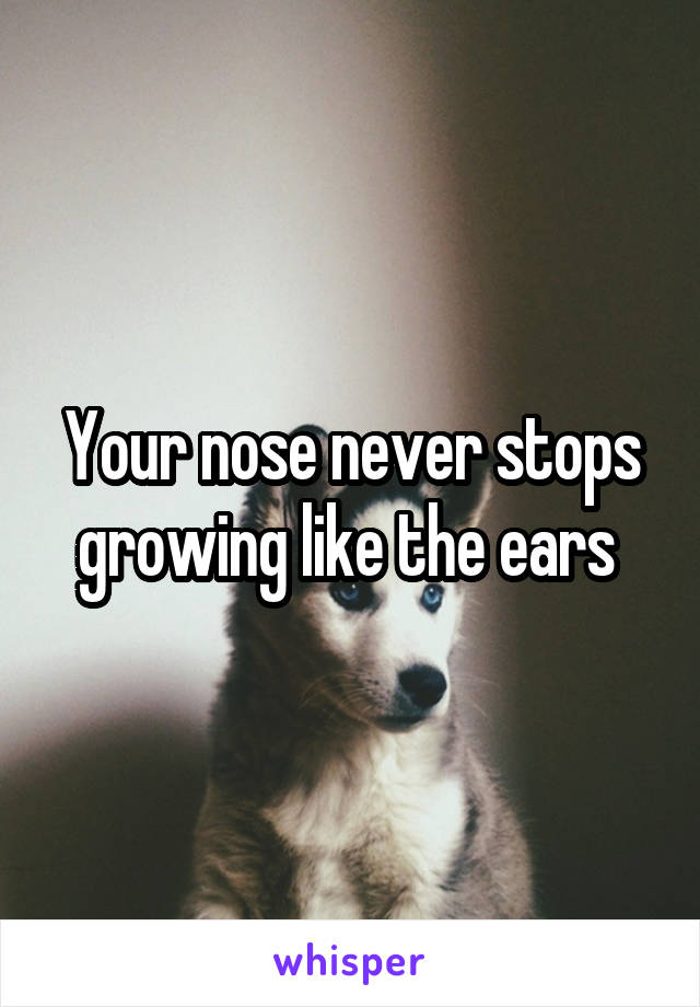 Your nose never stops growing like the ears 