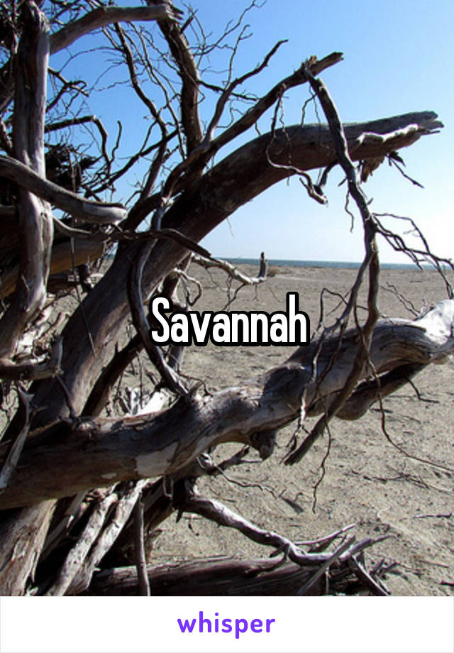 Savannah