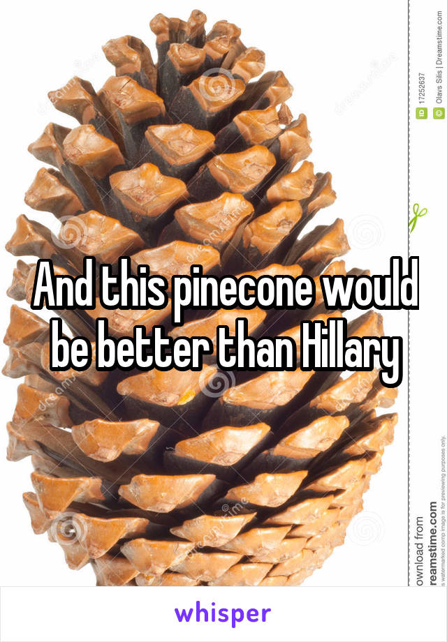 And this pinecone would be better than Hillary