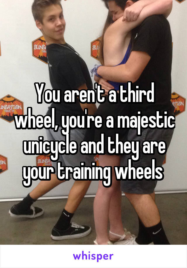 You aren't a third wheel, you're a majestic unicycle and they are your training wheels 