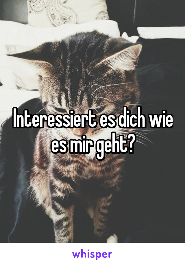 Interessiert es dich wie es mir geht?