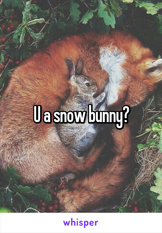 U a snow bunny?