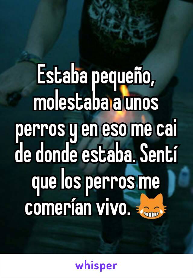 Estaba pequeño, molestaba a unos perros y en eso me cai de donde estaba. Sentí que los perros me comerían vivo. 😹