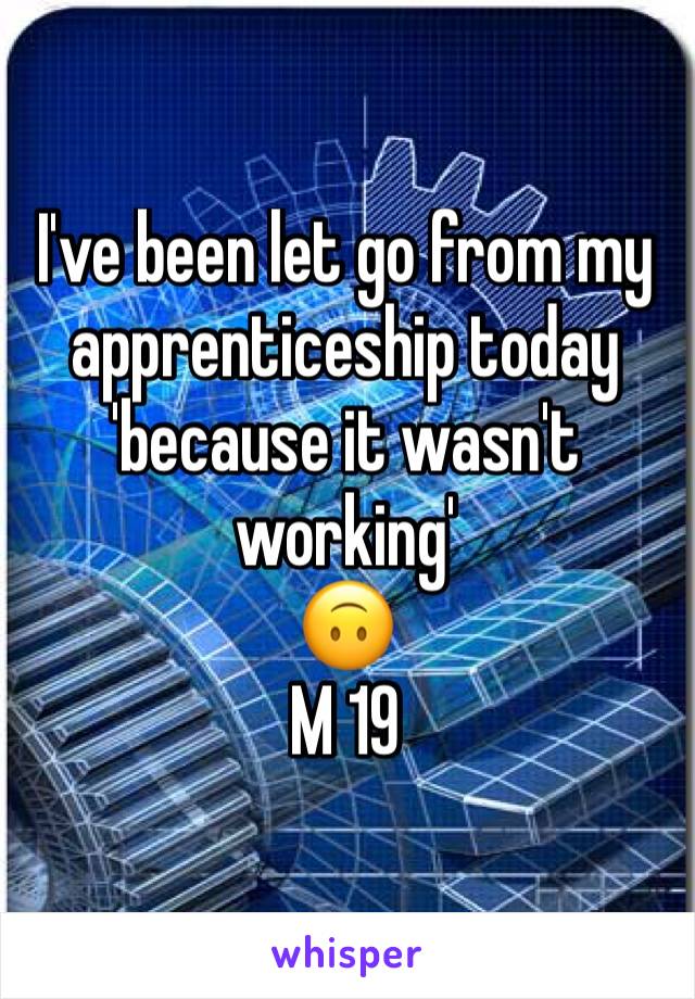I've been let go from my apprenticeship today 'because it wasn't working' 
🙃 
M 19