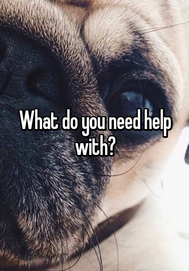 What do you need help with?