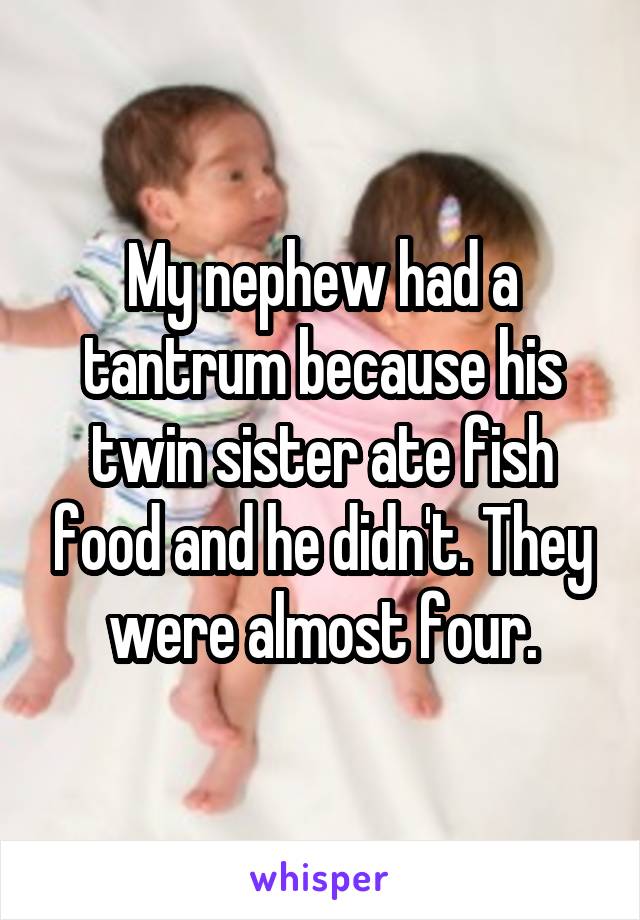 My nephew had a tantrum because his twin sister ate fish food and he didn't. They were almost four.