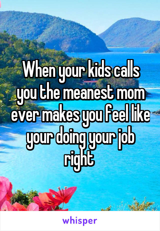 When your kids calls you the meanest mom ever makes you feel like your doing your job right 