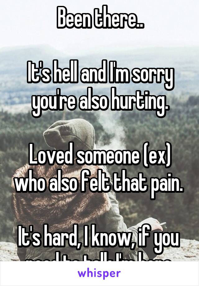 Been there..

It's hell and I'm sorry you're also hurting.

Loved someone (ex) who also felt that pain. 

It's hard, I know, if you  need to talk I'm here.