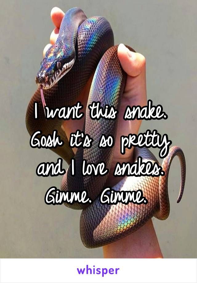 
I want this snake. Gosh it's so pretty and I love snakes. Gimme. Gimme. 