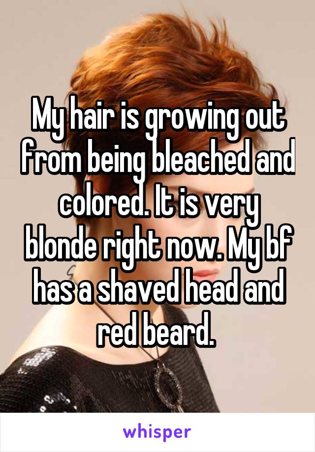 My hair is growing out from being bleached and colored. It is very blonde right now. My bf has a shaved head and red beard. 