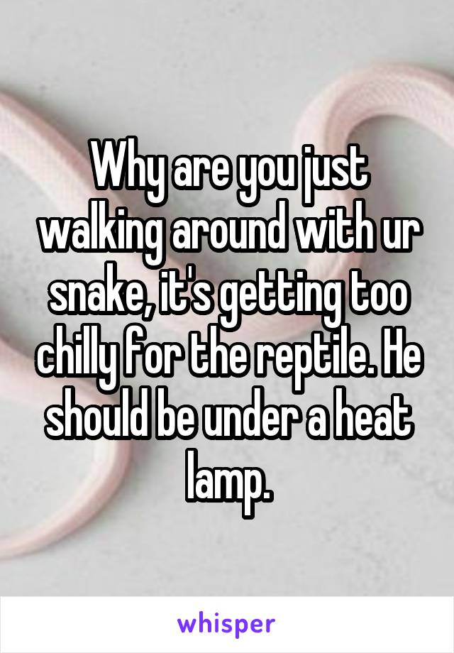 Why are you just walking around with ur snake, it's getting too chilly for the reptile. He should be under a heat lamp.