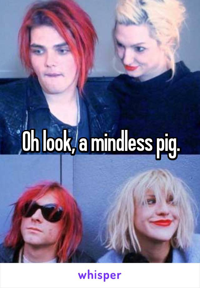 Oh look, a mindless pig.