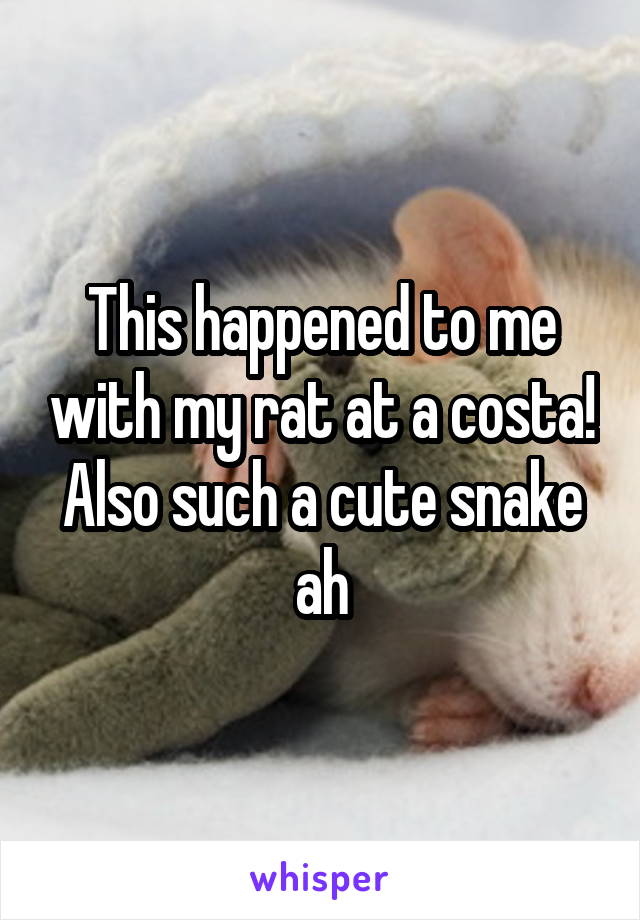 This happened to me with my rat at a costa! Also such a cute snake ah