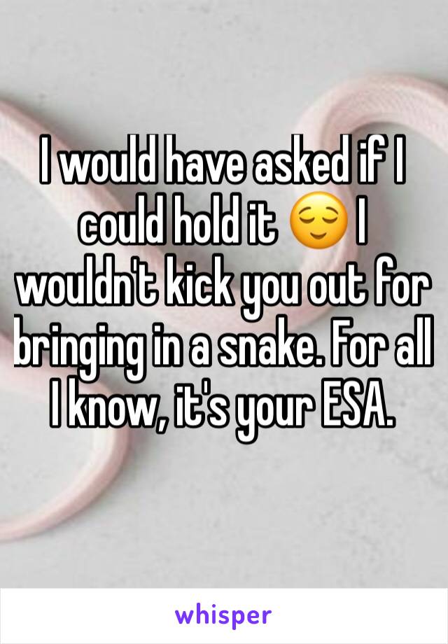 I would have asked if I could hold it 😌 I wouldn't kick you out for bringing in a snake. For all I know, it's your ESA. 