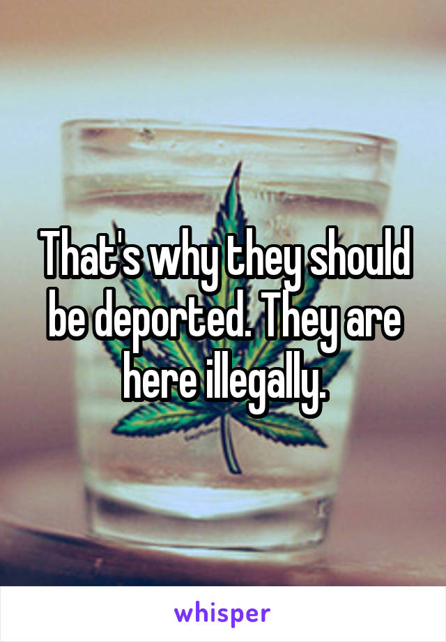 That's why they should be deported. They are here illegally.