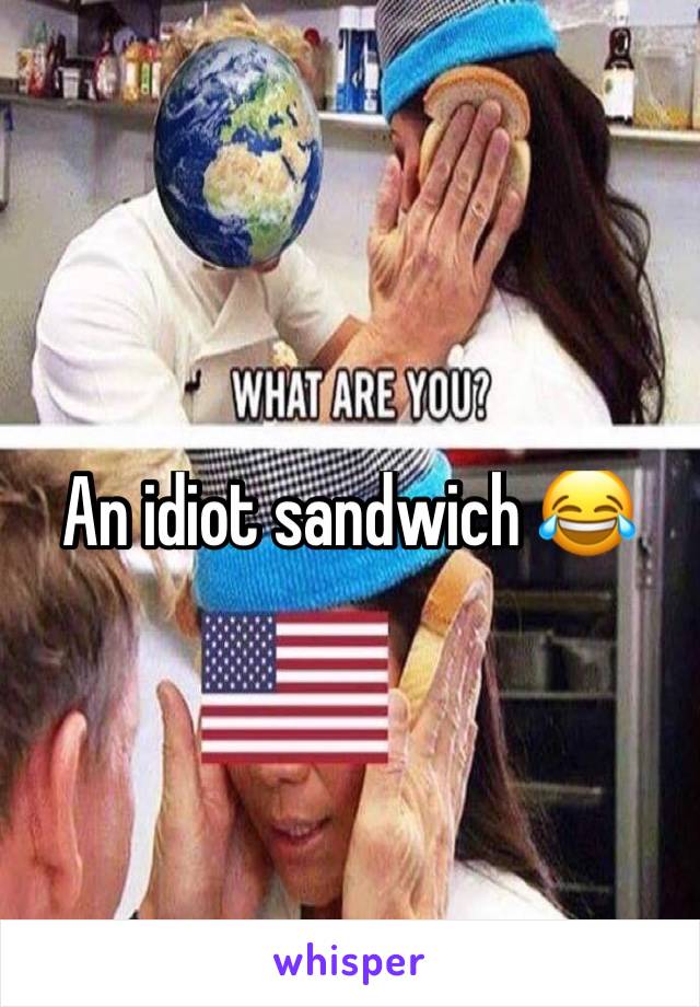 An idiot sandwich 😂