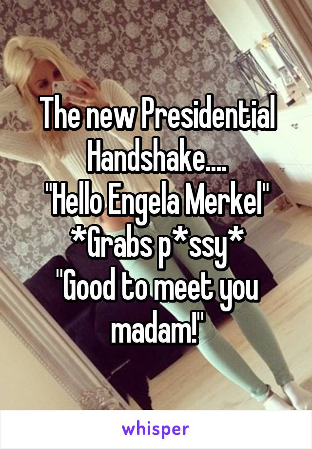 The new Presidential Handshake....
"Hello Engela Merkel" *Grabs p*ssy*
"Good to meet you madam!"