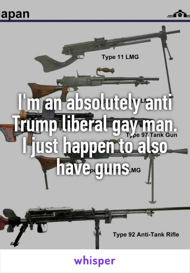 I'm an absolutely anti Trump liberal gay man. I just happen to also have guns 