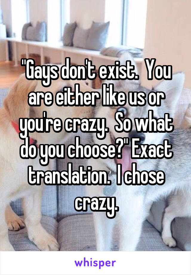 "Gays don't exist.  You are either like us or you're crazy.  So what do you choose?" Exact translation.  I chose crazy.