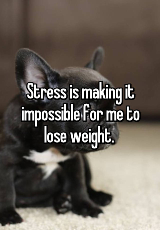 stress-is-making-it-impossible-for-me-to-lose-weight