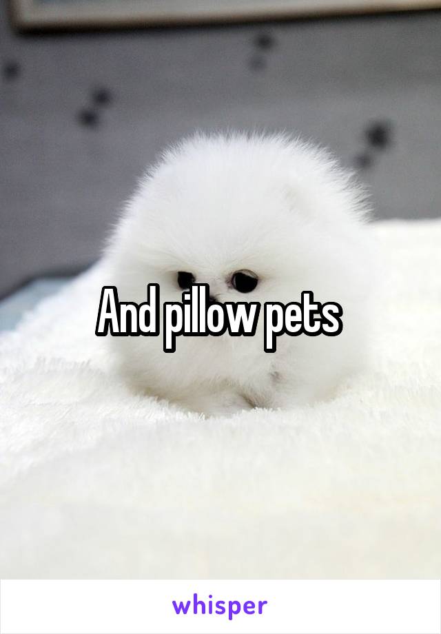 And pillow pets 