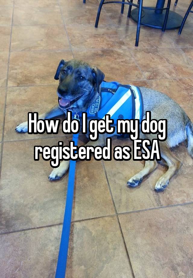 how-do-i-get-my-dog-registered-as-esa