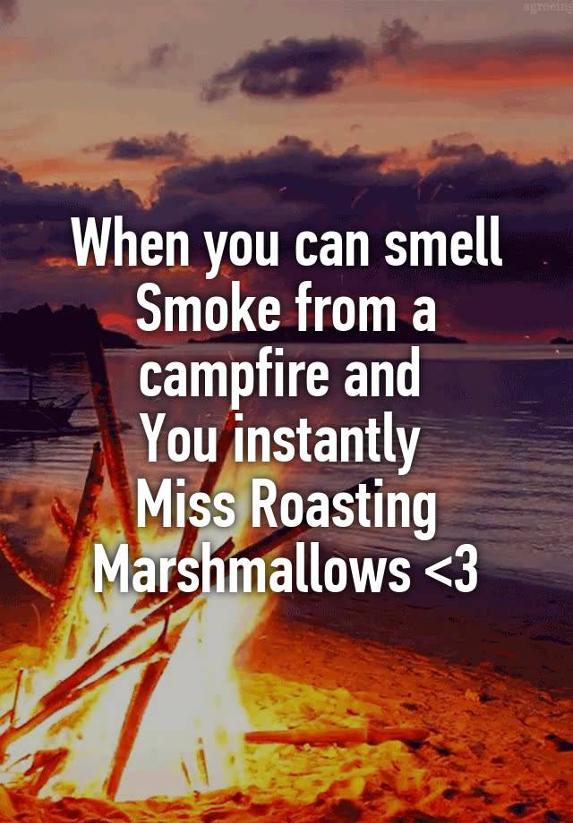 when-you-can-smell-smoke-from-a-campfire-and-you-instantly-miss