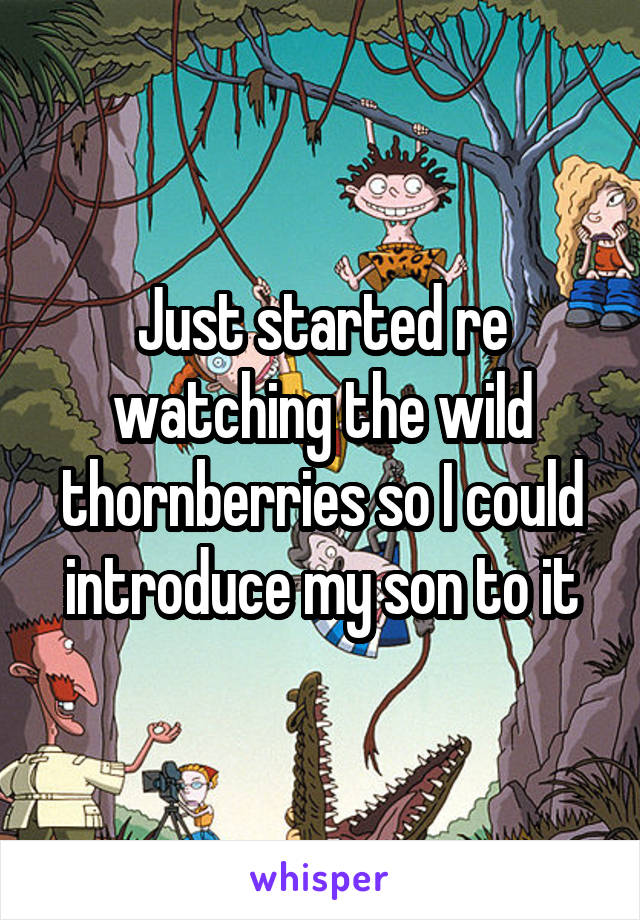 Just started re watching the wild thornberries so I could introduce my son to it