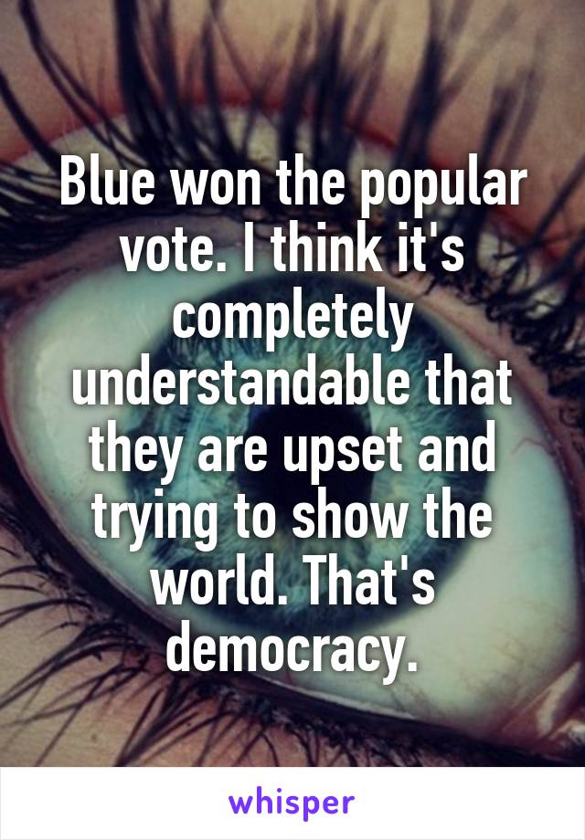 Blue won the popular vote. I think it's completely understandable that they are upset and trying to show the world. That's democracy.