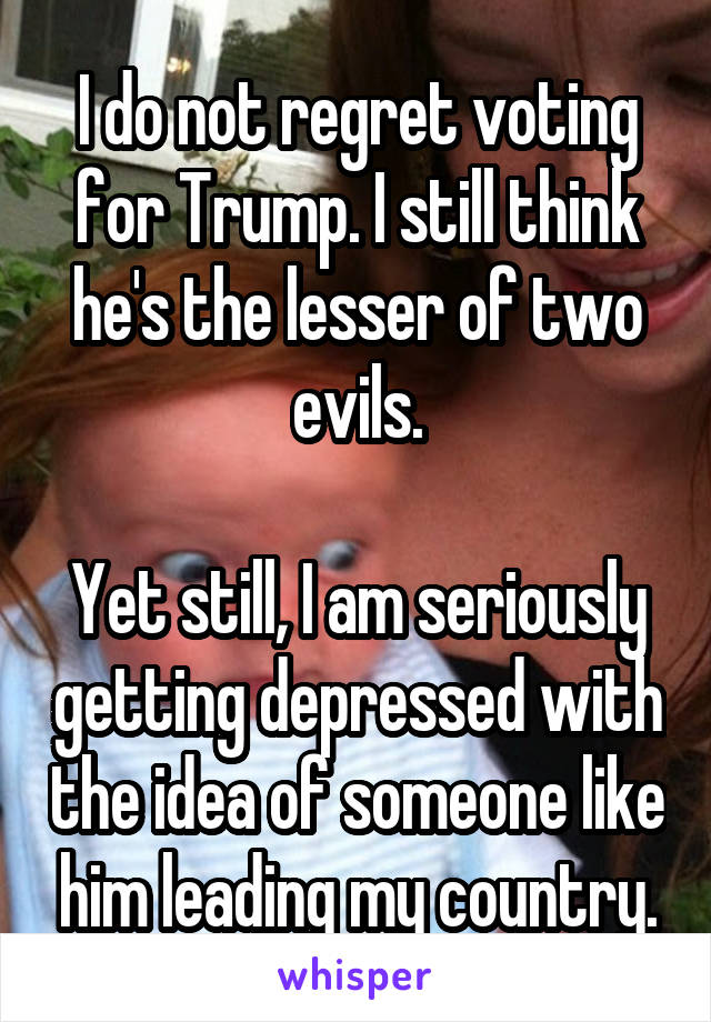 I do not regret voting for Trump. I still think he's the lesser of two evils.

Yet still, I am seriously getting depressed with the idea of someone like him leading my country.