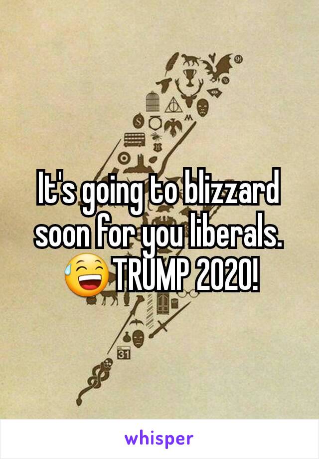 It's going to blizzard soon for you liberals. 😅TRUMP 2020!